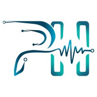 PH. Vision logo - Similar company to Hisab Hub