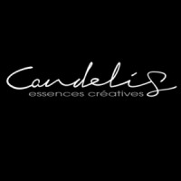 Candelis logo - Similar company to Ducis Développement