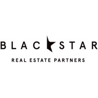 Blackstar Real Estate Partners logo - Similar company to Blackstar Stability