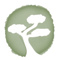 Bonsai Systems