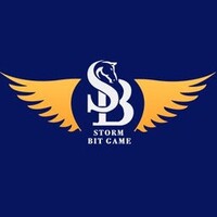 SBG Global logo - Similar company to Digital Doubles Inc.