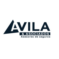 AVILA & ASOCIADOS logo - Similar company to Olandseguros