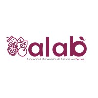 ALAB - Asociación Latinoamericana de Asesores en Berries logo - Similar company to Municipalidad De Pelluhue