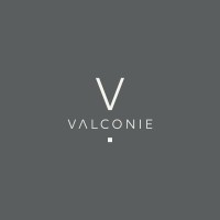 Valconie logo - Similar company to Flamingo Beheer B.V.