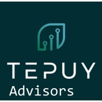 TEPUY Advisors logo - Similar company to Hardy Consulting Services