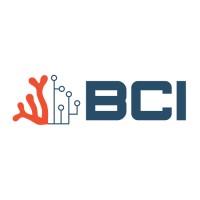 Blue Coral Innovations logo - Similar company to Ice - Industrial Computing Engineering