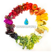 Egyptian Saudi Food Industries Food Co. - ESFIC logo - Similar company to Paste And Juice
