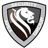 Apex Security Group NM logo - Similar company to Apex Security Group