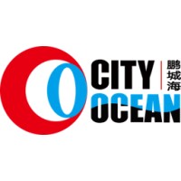 City Ocean Logistics Co., Ltd GZ Branch logo - Similar company to Asr Cargo Center