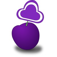 Insight Plum logo - Similar company to Credo-Cybertech
