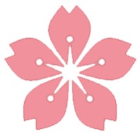 Starkura logo - Similar company to React Plus Careers