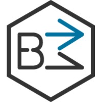 BluMedia Marketing logo - Similar company to Phoenix Online Media