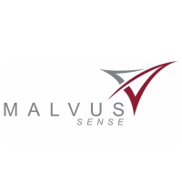Malvus Sense Sdn. Bhd. logo - Similar company to Redplanet Solutions