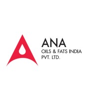 ANA International logo - Similar company to Surnoi Technology Pvt Ltd