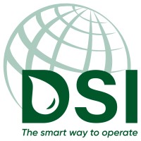 DSI logo - Similar company to Ryzhka International Llc