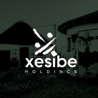 Xesibe Holdings logo - Similar company to Juice Bro'S