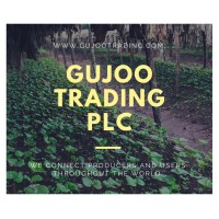 GUJOO TRADING PLC logo - Similar company to Sheba Coffee