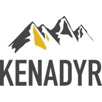 Kenadyr Metals Corp. logo - Similar company to Acquisition Experts, Llc / Florida Business Brokers
