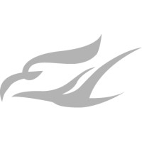 Mavens Consulting logo - Similar company to Mavens Consulting