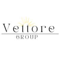 Vettore Group logo - Similar company to Karabulut Dis Ticaret Anonim Sirketi