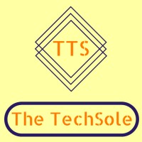 The TechSole logo - Similar company to Vision Bridge