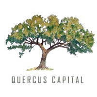 Quercus Capital logo - Similar company to Quercus Capital