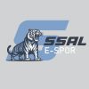 SSAL E-Spor logo - Similar company to Olimilas