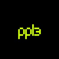 ppl3 logo - Similar company to Evercrypto