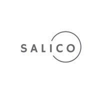 salico GmbH logo - Similar company to Tum Data Innovation Lab