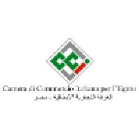 The Italian Chamber of Commerce - Egypt logo - Similar company to Eic Egyptian Italian Company