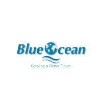 BlueOcean Software logo - Similar company to Hello Store