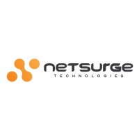 Netsurge Technologies logo - Similar company to Headway Vision