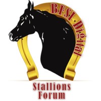BFSI Digital Stallions Forum UAE logo - Similar company to Auburn Digitech