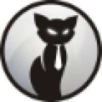 Black Cat Limited logo - Similar company to Gerald Slaven