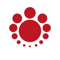 MundiCam Internacional logo - Similar company to Evolve Xtender • Seguridad Movil
