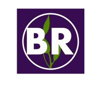 Bloom Remote logo - Similar company to Builded