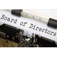 Your Board of Directors logo - Similar company to Lion Adv, Inc