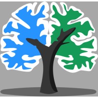 brainlife.io logo - Similar company to African Brain Data Network