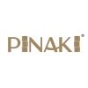 Pinaki logo - Similar company to Zebra Proje
