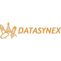 DATASYNEX logo - Similar company to Redberry Dmc Pvt. Ltd