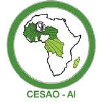 Centre d’Études et d’Expérimentation Économiques et Sociales de l’Afrique de l’Ouest (CESAO) logo - Similar company to O Interim Solutions Sarl