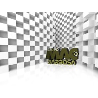 Mac Barbosa logo - Similar company to Agilus