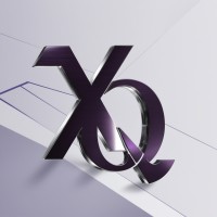 XQAssess logo - Similar company to Visualzen