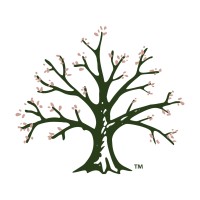 Modern Legacy Law Group logo - Similar company to Tremblay & Smith, Pllc