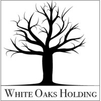White Oaks Holding logo - Similar company to Interlink Network Society