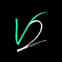 Value² logo - Similar company to Digi Discounts™