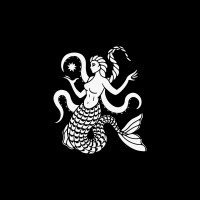 Siren Creative Co logo - Similar company to Siren Creative