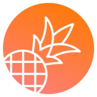 Pineapple Builder logo - Similar company to Aurity