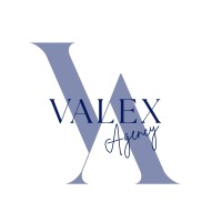 Valex Agency logo - Similar company to Generation Unperfect