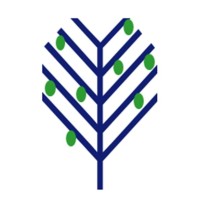 LimeTree Capital Partners logo - Similar company to Gfm Focus Investing